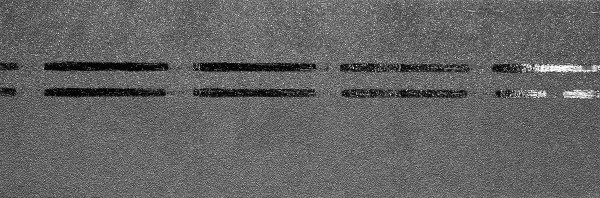 Коньково-карнизная черепица Docke Premium, черника купить в Пушкино